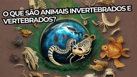 Oq Sao Animais Invertebrados - 9