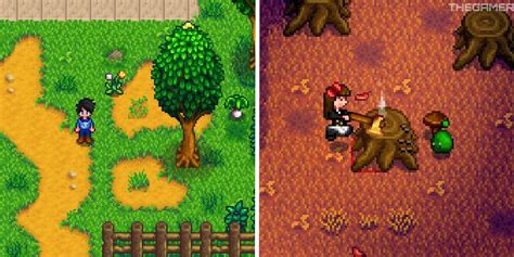 Everything to Know About Foraging In Stardew Valley