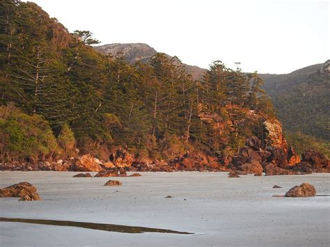 Cape Hillsborough National Park Parks And Forests Department Of The Environment Tourism