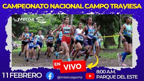 CAMPEONATO NACIONAL DE CAMPO TRAVIESA ATLETISMO YouTube