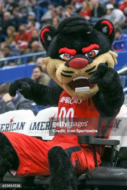 Bearcat Mascot Photos and Premium High Res Pictures - Getty Images