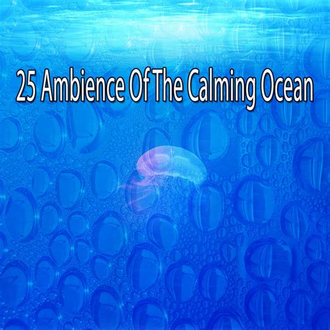 25 Ambience Of The Calming Ocean Album By Sleep Waves Spotify