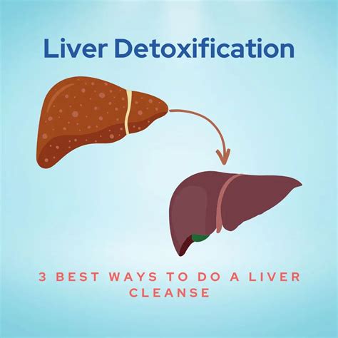 3 Best Ways To Do A Liver Cleanse How To Naturally Detox Your Liver