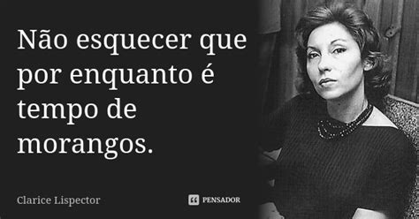 Não Esquecer Que Por Enquanto é Tempo Clarice Lispector Pensador