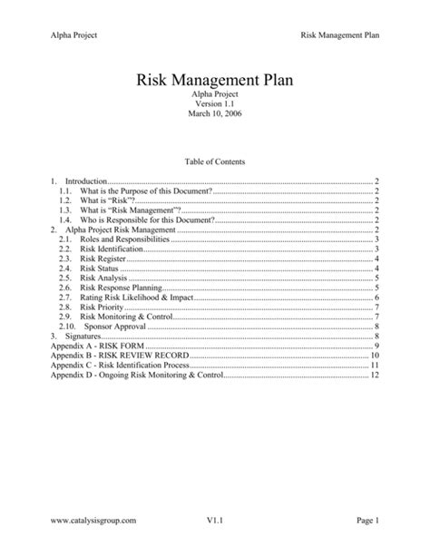 Basic Risk Management Plan For The Alpha Project