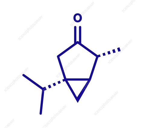 Thujone absinthe molecule, illustration - Stock Image - F030/4871 ...