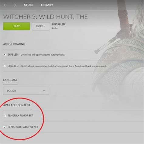 Stream The Witcher Wild Hunt Polish Language Pack Gog High Quality