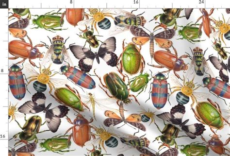 Colorful Fabrics Digitally Printed By Spoonflower Beetles Insect