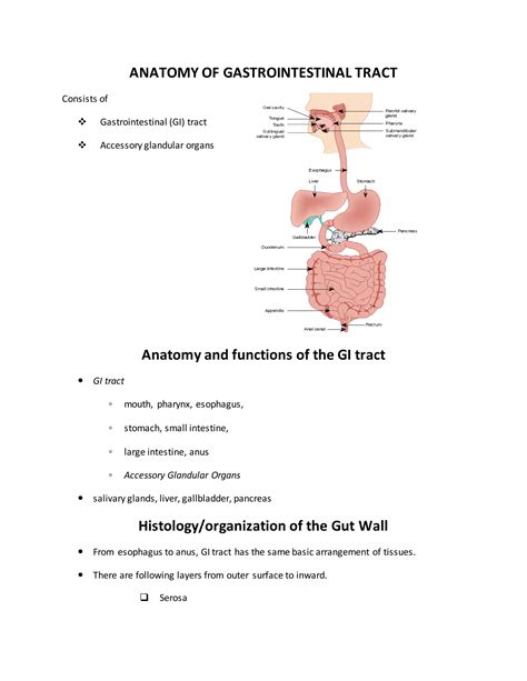 Atlas Of Gastrointestinal Surgery 2nd Edition Volume 2 7