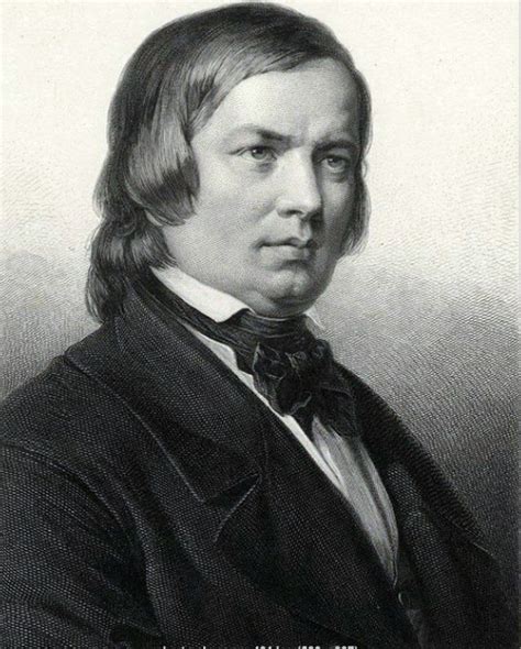 Robert Schumann Dans Les Lettres Et Les Arts En France Et En Europe