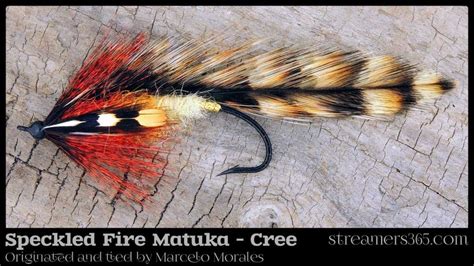 Speckled Fire Matuka Cree By Marcelo Morales Streamers 365 Fly