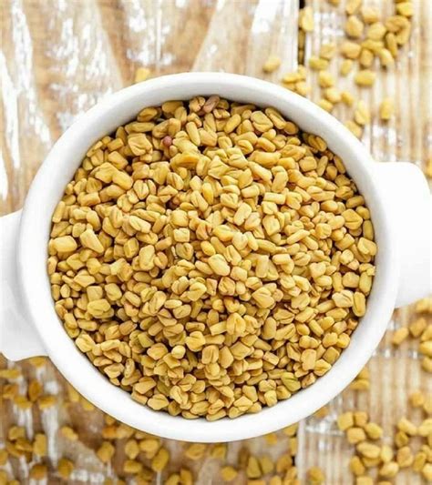 Fenugreek Seed Methi At Rs 55 Kg Mandore Jodhpur ID 2853923759530