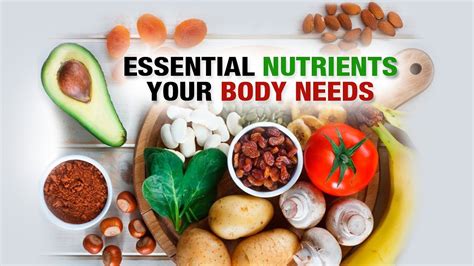 Essential Nutrients Your Body Needs Dr Meena Shah Diet Talk Filler