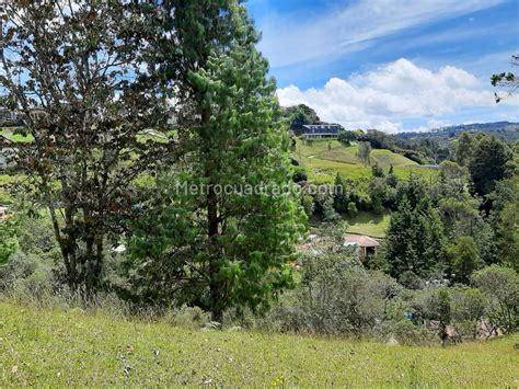 Venta De Lote O Casalote En Alto De Las Palmas Envigado 16420 M4615760