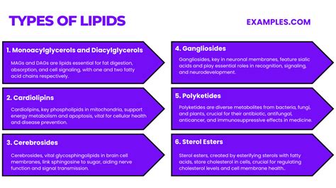 Lipids 20 Examples Format How To Reduce Pdf