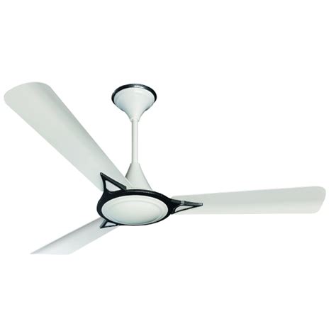 Crompton Decorative Ceiling Fans India | Shelly Lighting