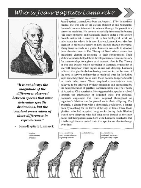 Lamarckism vs. Darwinism ACTIVITY SHEET | PDF