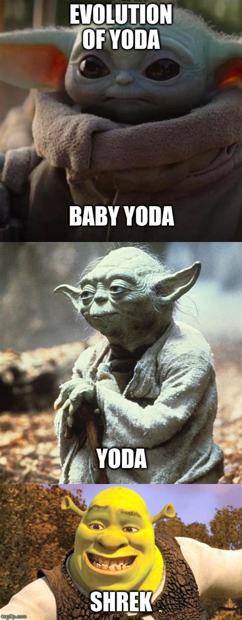 Evolution Of The Yoda Species Imgflip