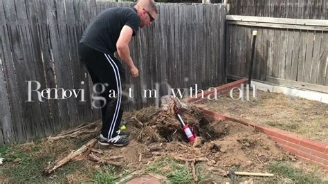 Amazing Stump Removal Using A Bottle Jack Youtube