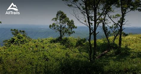 Parque Natural Municipal Nascentes De Paranapiacaba As Dez Melhores