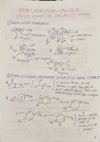 Exercicis De Repas Tema Pdf