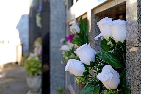 Dia de finados: como celebrar a memória de quem se foi
