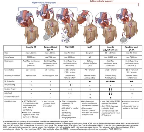 Cardiogenic Shock | RECAPEM