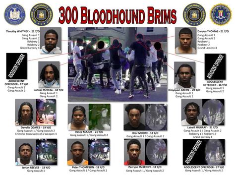 300 Bloodhound Brims Street Gang Member Found Guilty Of Violent Yonkers