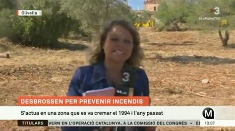 Els Matins Tv On Twitter Desbrossar Per Prevenir Incendis A