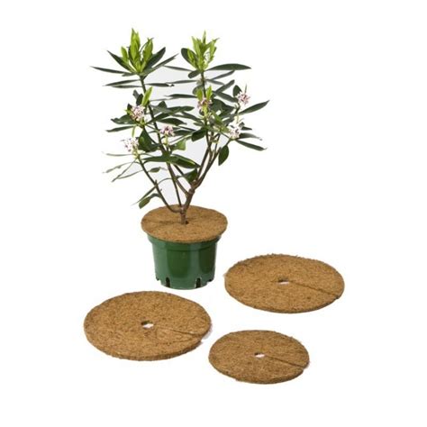 Jardinage 10pcs Couverture De Paillis De Noix De Coco 100 Biodégradable