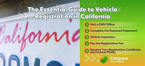 Top Guide On Settling Into California In 2024 - Check Now