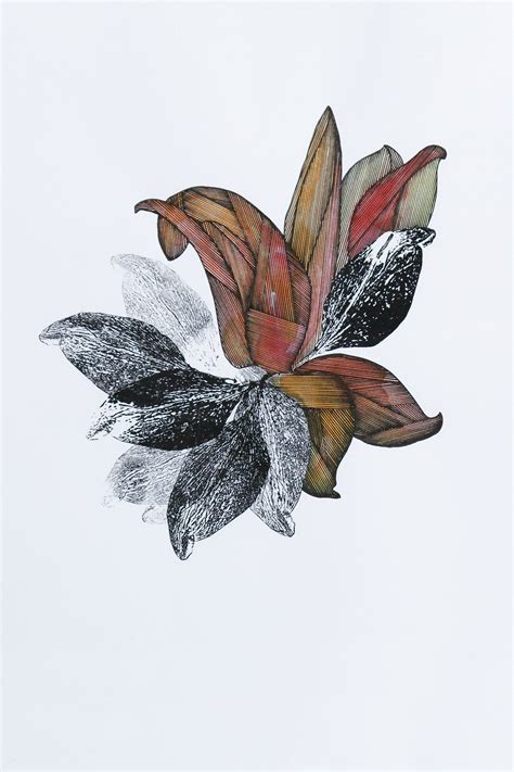 boutique - Anne de Villèle - Achat en ligne / Dessin Céramique Broderie