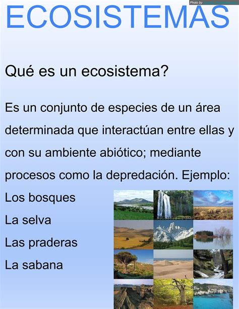 Tipos De Ecosistema Mind Map Tipos De Ecosistemas Eco Vrogue Co