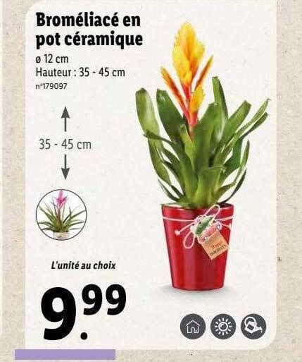 Promo Brom Liac En Pot C Ramique Chez Lidl