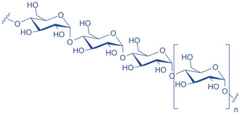 Difference Between Amylose and Amylopectin | Definition, Occurrence ...