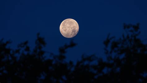 Calendario lunar agosto 2023 cuándo habrá luna llena y lluvia de