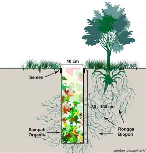 Cara Membuat Resapan Air Comberan Ifaworldcup Riset