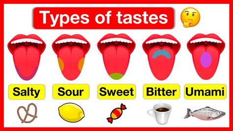 Types Of Tastes Salty Sour Sweet Bitter Umami How Do We