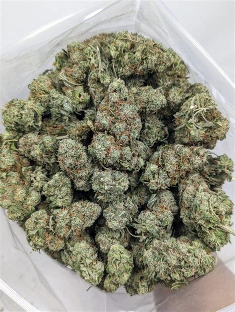 Buy Blue Cheese Aaa Strain Buy Cannabis Online Online Dispensary