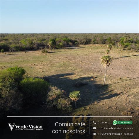 Campo ganadero en venta Villa Berthet Chaco 774 hectáreas Verde Vision