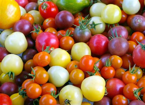 Les 10 principaux bienfaits des tomates pour la santé Conseils pour