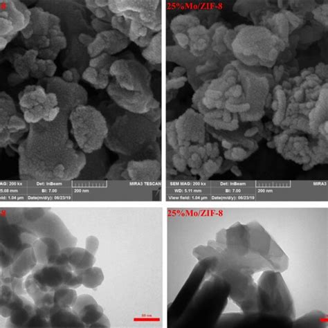 Fe Sem Image Top And Tem Image Bottom Of Zif And Mo Zif