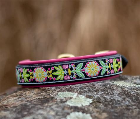 The Best Leather Dog Collars: Durable and Stylish Options