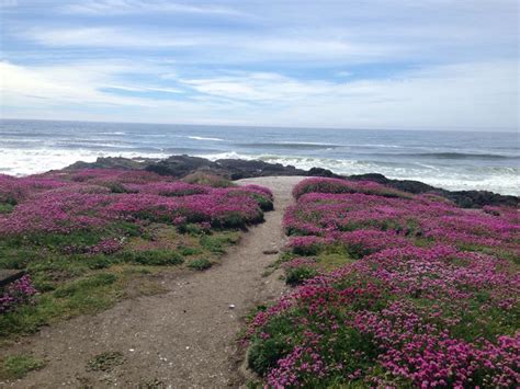 Yachats, Oregon Coast | North american travel, Yachats, American travel