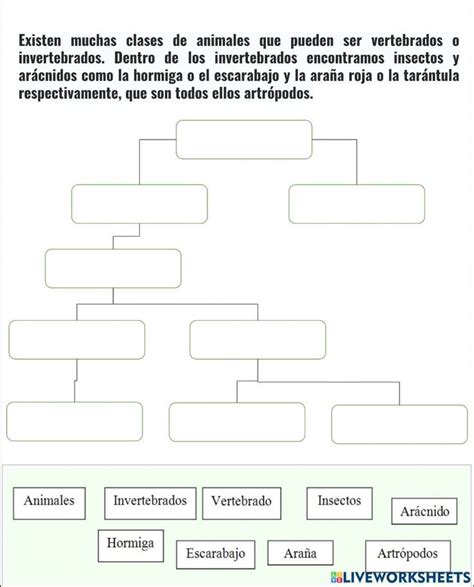 Mapa Conceptual Online Exercise For Quinto Grado Actividades De