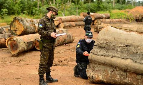 Governo quer os militares em ações de preservação da Amazônia até 2022