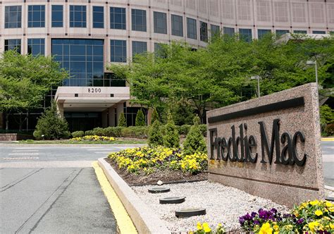 Freddie Mac Issued $73B of Securities Last Year, Marking New High