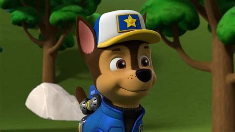 Pin By Rodrigo Orbieta On Paw Patrol Paw Patrol Pups Paw Patrol Paw