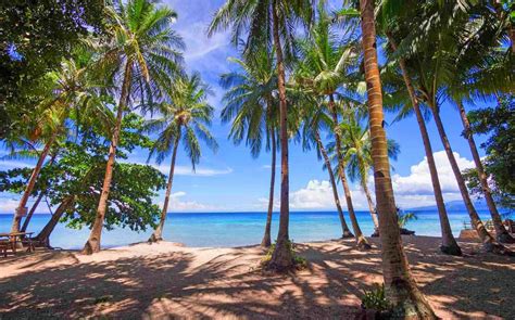 Wallpaper Sinar Matahari Pemandangan Laut Teluk Alam Bayangan