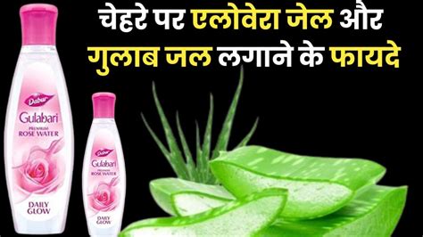 चेहरे पर एलोवेरा जेल और गुलाब जल लगाने के फायदे ।। Aloevera Gel And Rose Water Benefits Youtube